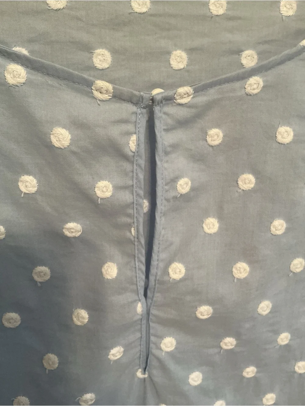 Zara Light Blue Embroidered Polka Dot Puff-Sleeve Top